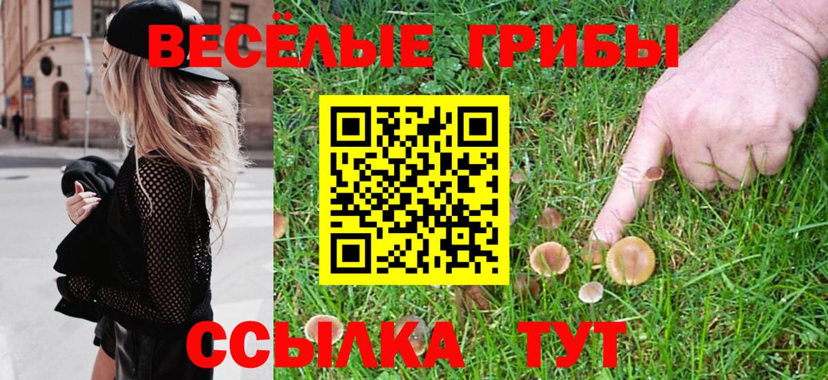 Галлюциногенные грибы мицелий Нарткала