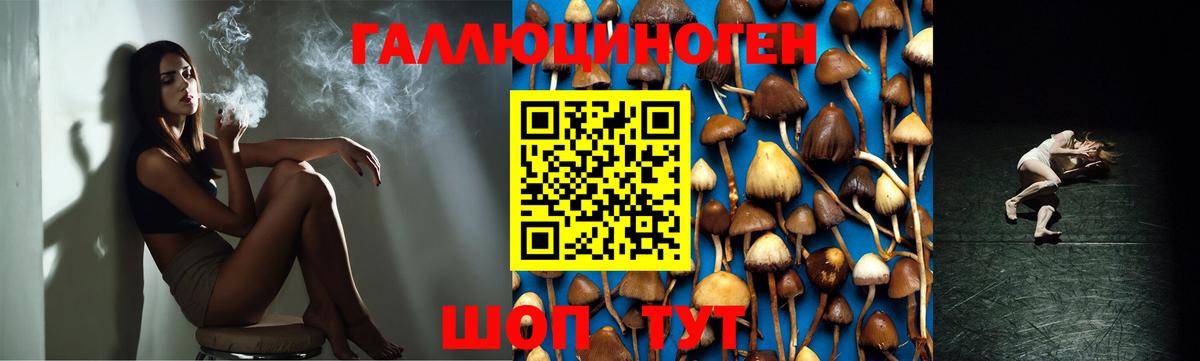 Псилоцибиновые грибы прущие грибы  Вход с VPN  Галлюциногенные грибы Psilocybe  Нарткала 